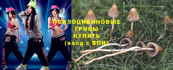 МДПВ Алзамай