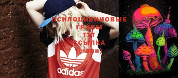 МДПВ Алзамай