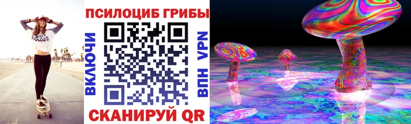 дарк нет формула  наркошоп  Осинники  Галлюциногенные грибы ЛСД 